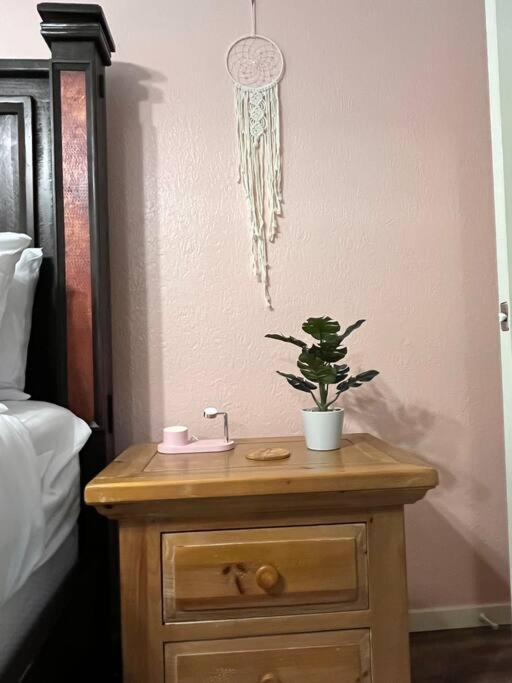 Healing Haven King Bed Suite Dallas Bagian luar foto